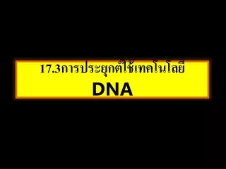 17 3 dna
