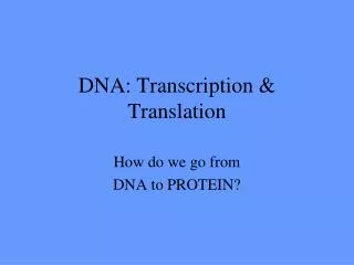 DNA: Transcription &amp; Translation