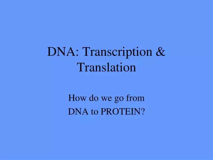 dna transcription translation
