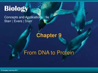 From DNA to Protein