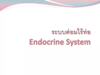 endocrine system