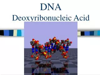 dna deoxyribonucleic acid