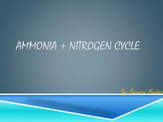 AMMONIA + NITROGEN CYCLE