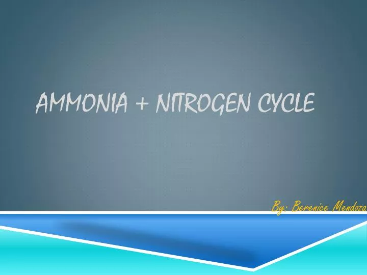 ammonia nitrogen cycle