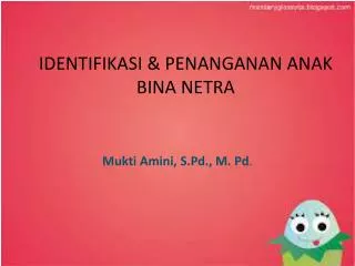 identifikasi penanganan anak bina netra