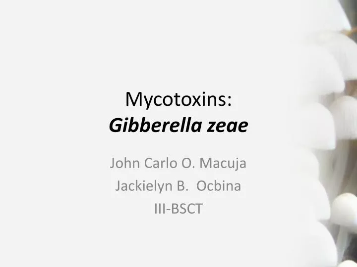 mycotoxins gibberella zeae