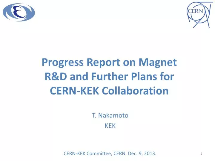 progress report on magnet r d and further plans for cern kek collaboration