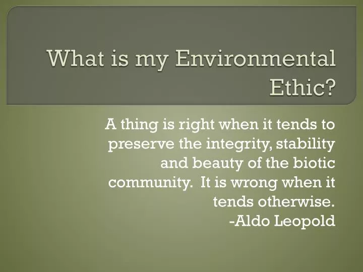 what is my environmental ethic