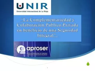 la complementariedad y colaboraci n p blico privada en beneficio de una seguridad integral