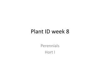 Plant ID week 8