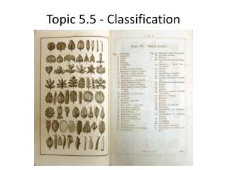 Topic 5.5 - Classification