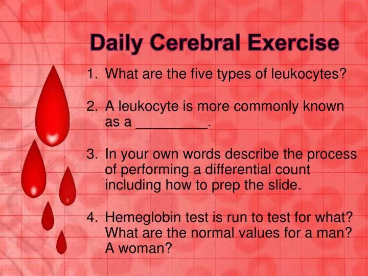 daily cerebral exercise