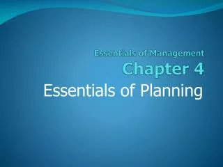 Essentials of Management Chapter 4