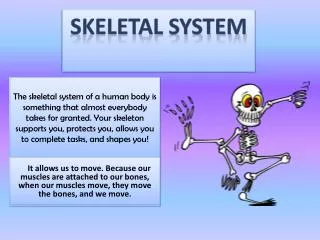 Skeletal System