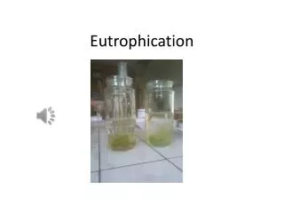 eutrophication