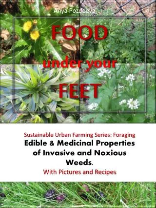FOOD under your FEET
