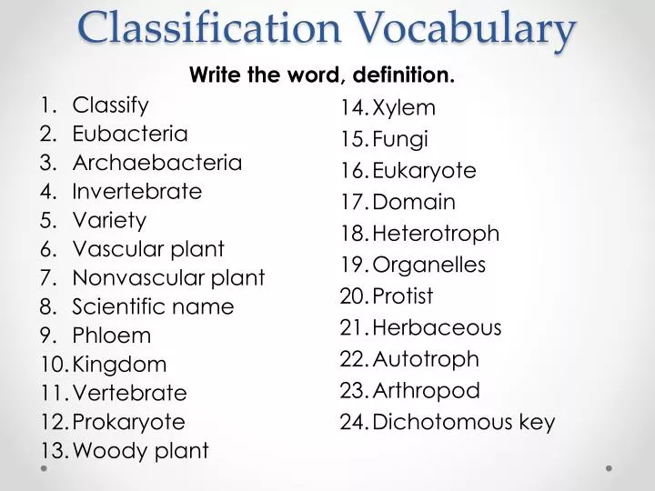 classification vocabulary