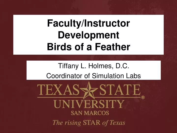 faculty instructor development birds of a feather