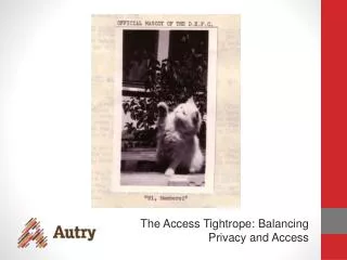 The Access Tightrope: Balancing Privacy and Access