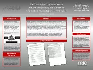 Do Therapists Underestimate Patient Preferences for Empirical Support in Psychological Treatment?