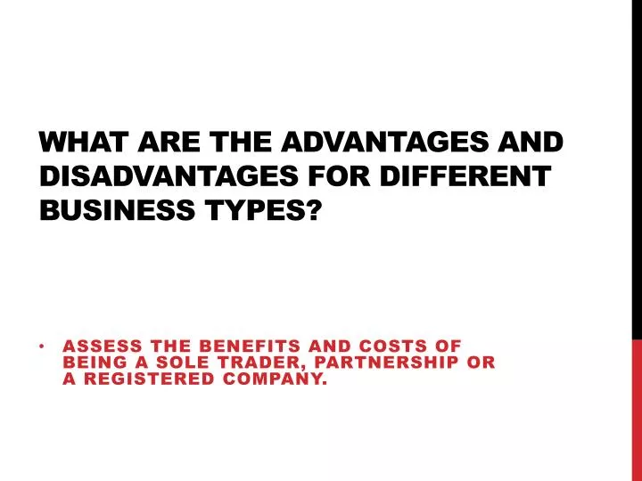 what are the advantages and disadvantages for different business types