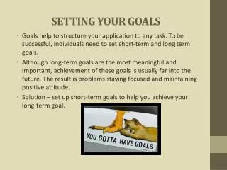 SETTING YOUR GOALS
