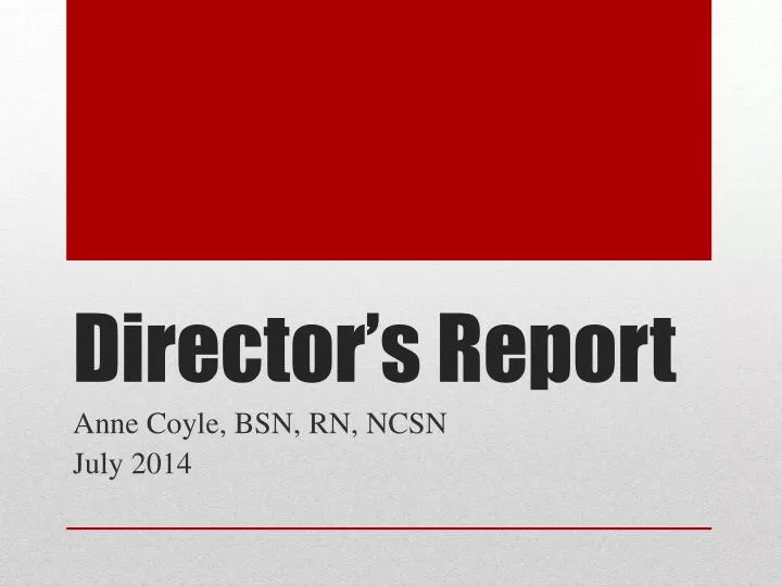 director s report