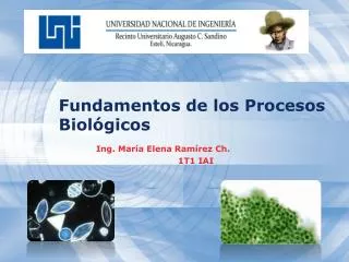 fundamentos de los procesos biol gicos