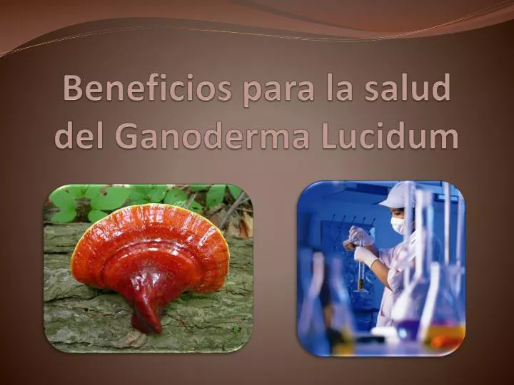 beneficios para la salud del ganoderma lucidum
