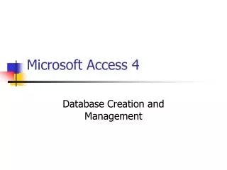 Microsoft Access 4