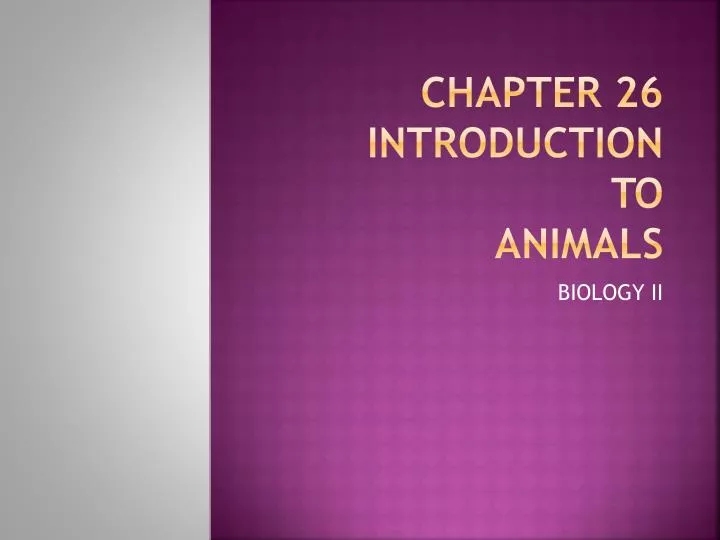 chapter 26 introduction to animals