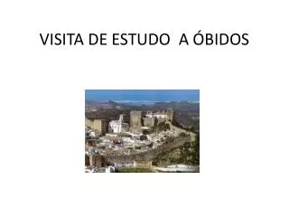 visita de estudo a bidos
