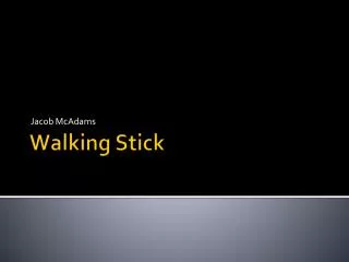 Walking Stick