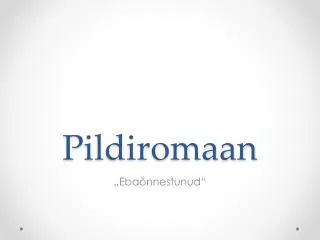 pildiromaan