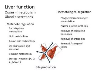 Liver function Organ = metabolism Gland = secretions
