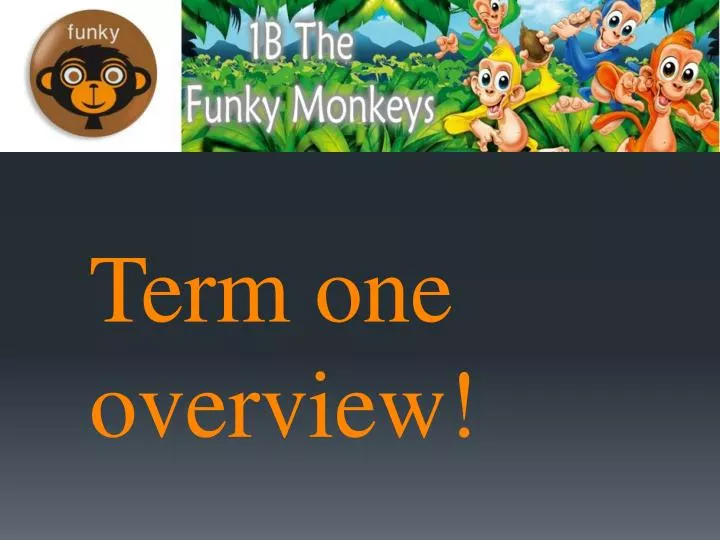 term one overview