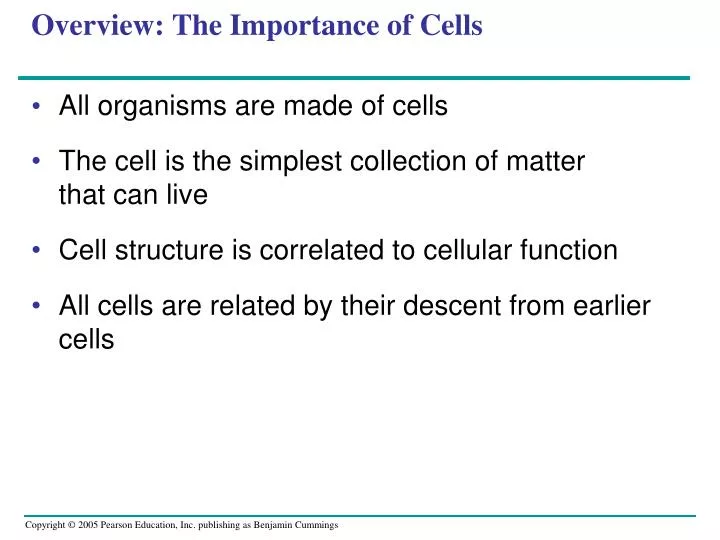 overview the importance of cells