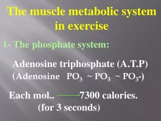 The muscle metabolic system in exercise 1- The phosphate system: