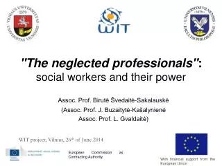 &quot;The neglected professionals&quot; : social workers and their power