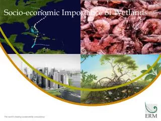 Socio-economic Importance of Wetlands
