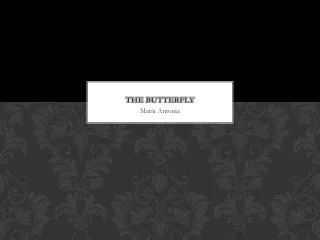 the b utterfly