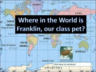 Where in the World is Franklin, our class pet?