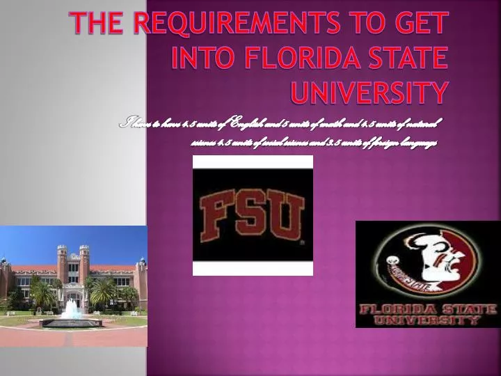the requirements to get into florida state university