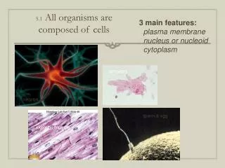 5.1 All organisms are composed of cells