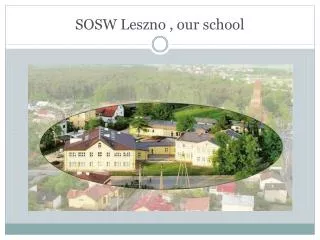 SOSW Leszno , our school