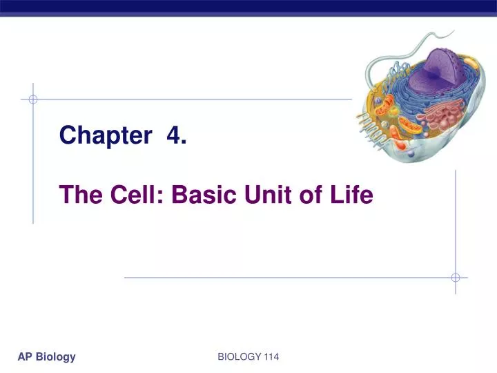 chapter 4 the cell basic unit of life