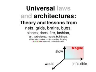Universal laws and architectures: Theory and lessons from nets, grids, brains, bugs,