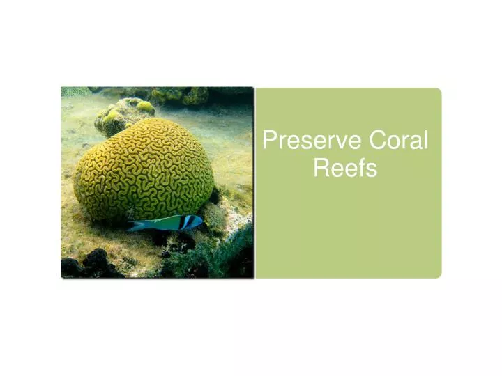 preserve coral reefs