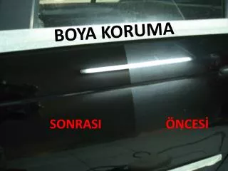 boya koruma