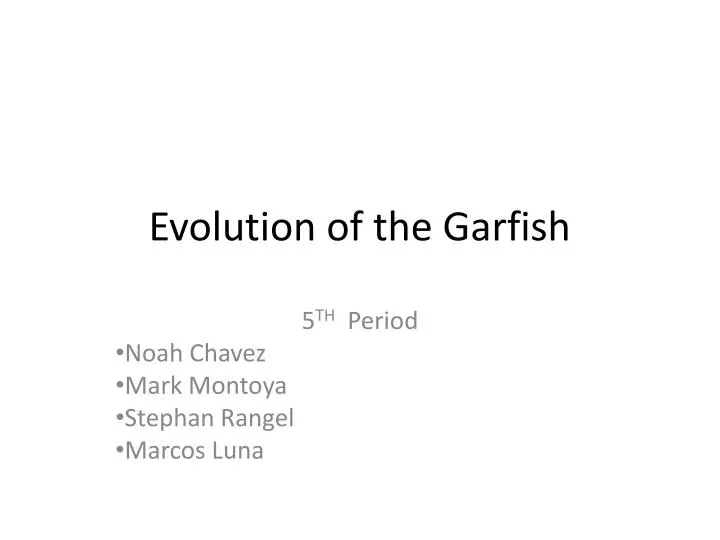 evolution of the garfish
